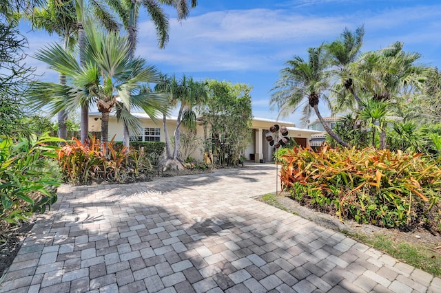 view of front facade featuring decorative driveway and stucco siding