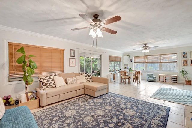 630 Glenridge Dr, West Palm Beach, FL 33405 - living area with crown molding and ceiling fan