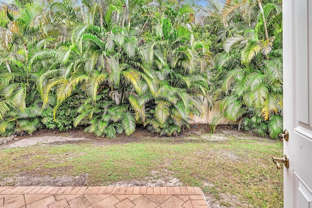 11604 Kensington Ct, Boca Raton, FL 33428 - view of yard