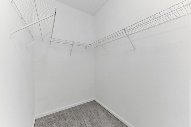 9827 Galleon Dr, West Palm Beach, FL 33411 - walk in closet featuring light carpet