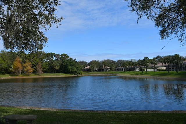 water view