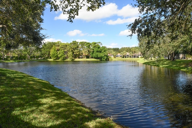 view of water feature