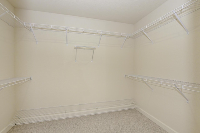 6763 Mar Pacifico, Fort Pierce, FL 34950 - spacious closet with carpet