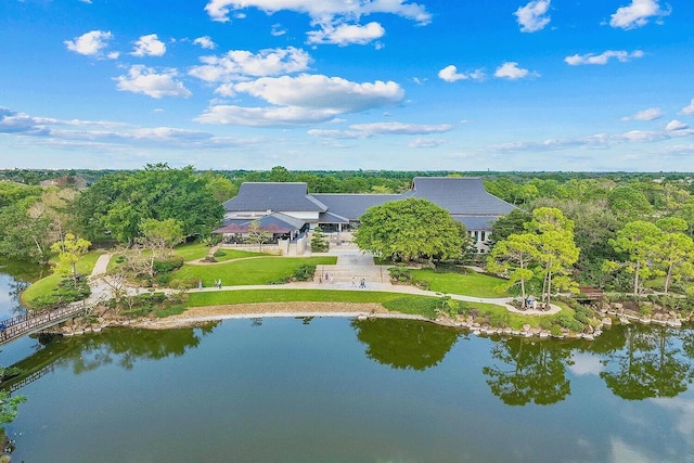 aerial view with a water view
