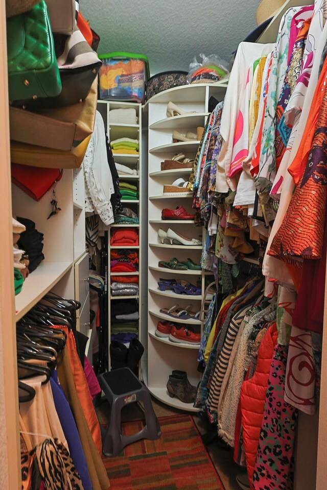 view of walk in closet