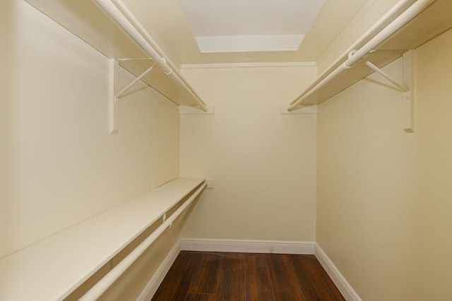 1034 Grandview Blvd, Fort Pierce, FL 34982 - spacious closet featuring dark wood finished floors