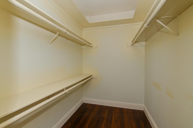1034 Grandview Blvd, Fort Pierce, FL 34982 - spacious closet featuring dark wood-type flooring
