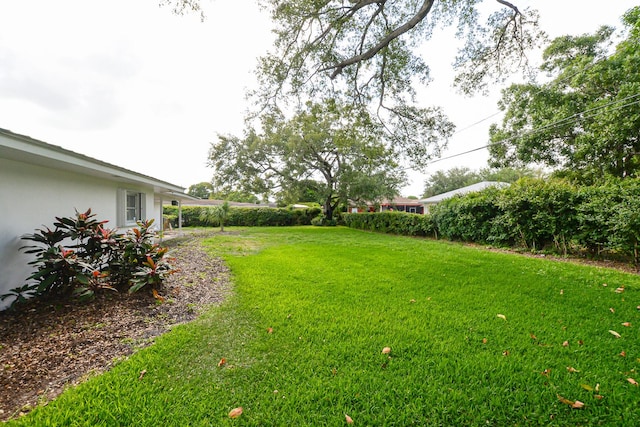 1034 Grandview Blvd, Fort Pierce, FL 34982 - view of yard