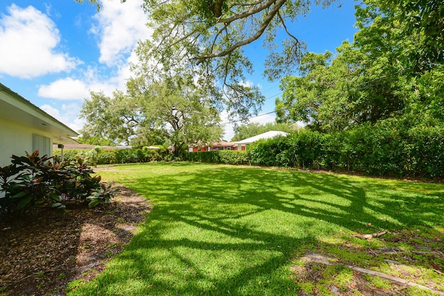 1034 Grandview Blvd, Fort Pierce, FL 34982 - view of yard