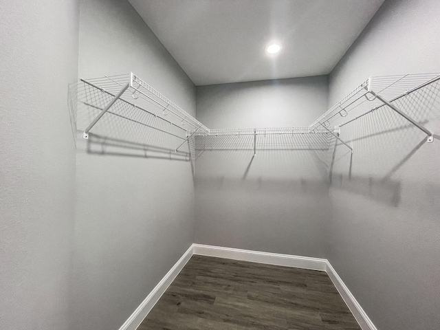 walk in closet featuring dark wood finished floors