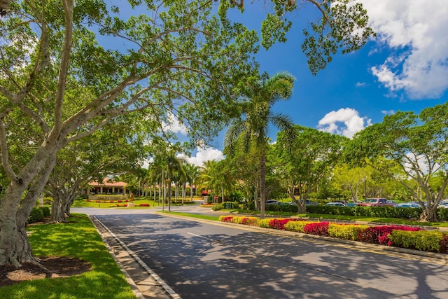 41 Windsor Ln, Palm Beach Gardens, FL 33418 - view of surrounding community