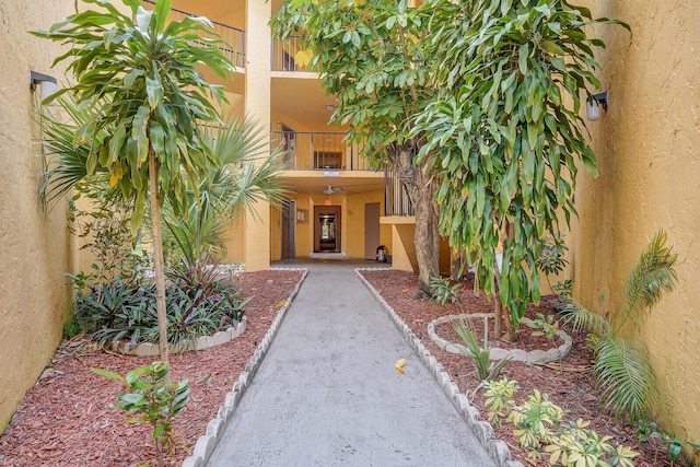 view of exterior entry featuring stucco siding and a balcony