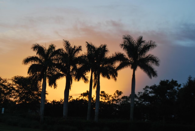 5661 Riverside Dr Unit 206B7, Coral Springs, FL 33067 - view of local wilderness