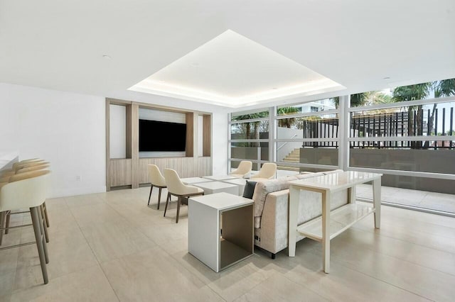 living area featuring a raised ceiling