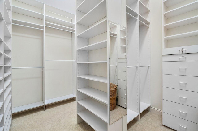 spacious closet with carpet flooring