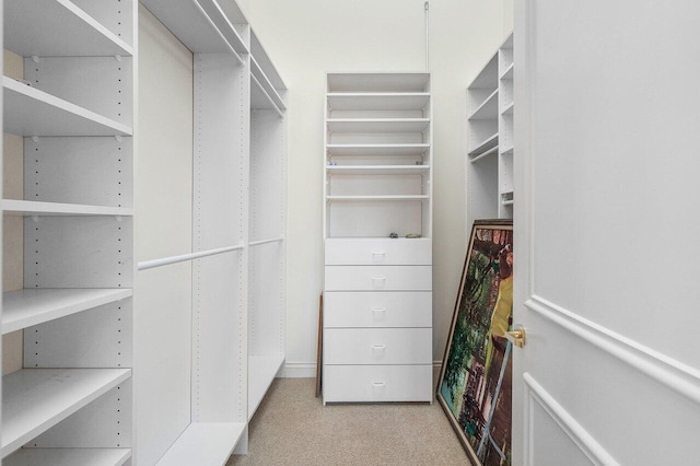 view of spacious closet