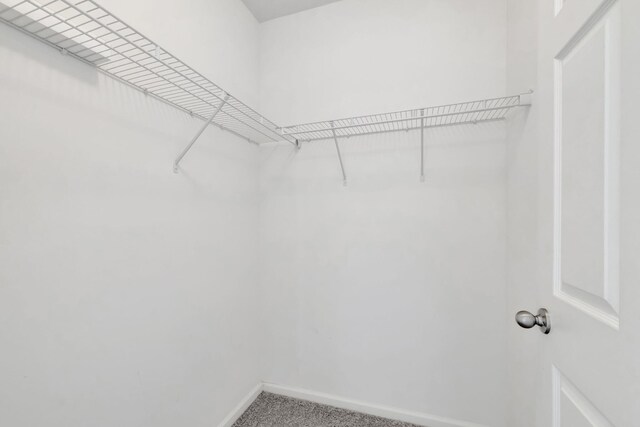 11265 SW Hadley St, Port Saint Lucie, FL 34987 - walk in closet featuring carpet flooring