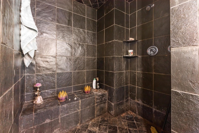 1894 NW Britt Rd, Stuart, FL 34994 - full bathroom with a tile shower