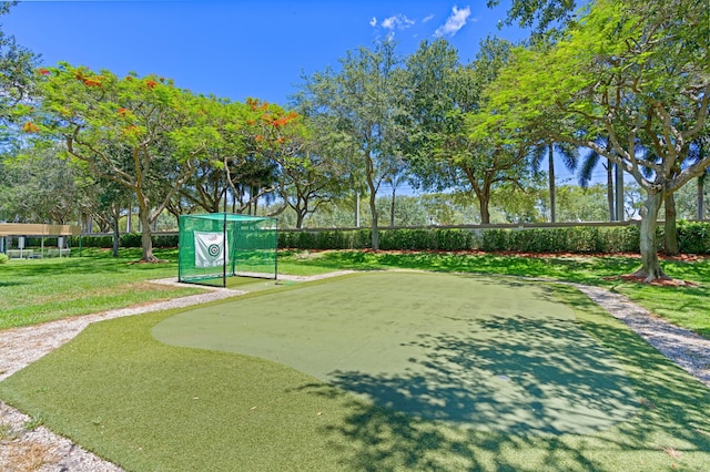 view of community with a yard