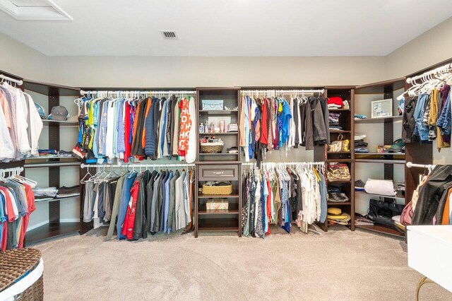 walk in closet featuring visible vents and carpet