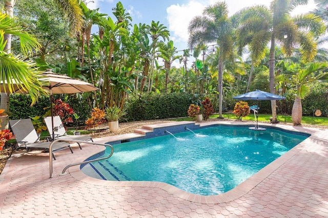 view of pool with a fenced in pool and a patio