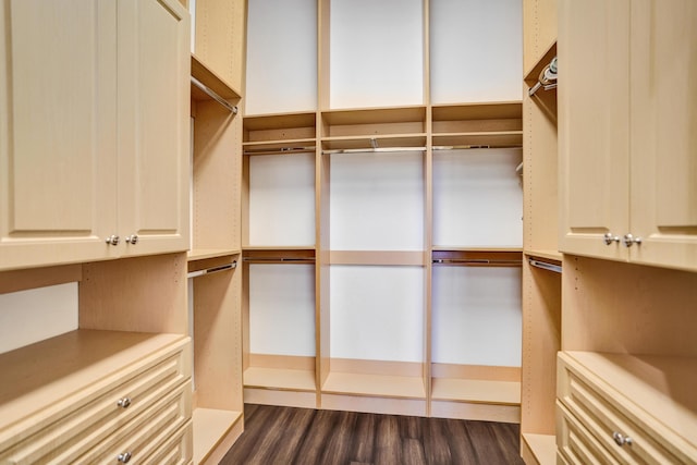 9210 Equus Cir, Boynton Beach, FL 33472 - walk in closet with dark wood finished floors