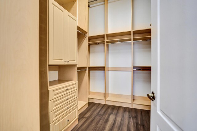 walk in closet with dark wood-style flooring