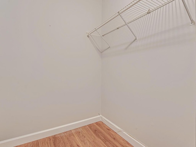 104 Lake Helen Dr, West Palm Beach, FL 33411 - spacious closet featuring light wood finished floors