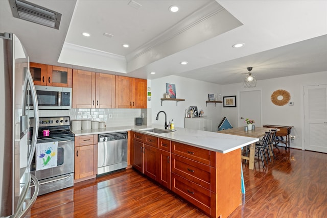 1423 SW 28th Ave, Boynton Beach, FL 33426 - kitchen featuring stainless steel appliances, a sink, a raised ceiling, a peninsula, and crown molding