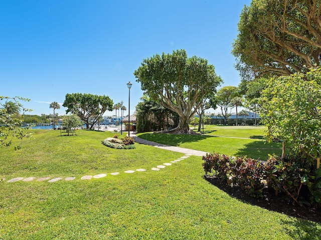 view of property's community featuring a lawn