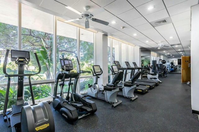 gym featuring a drop ceiling, a ceiling fan, expansive windows, and visible vents