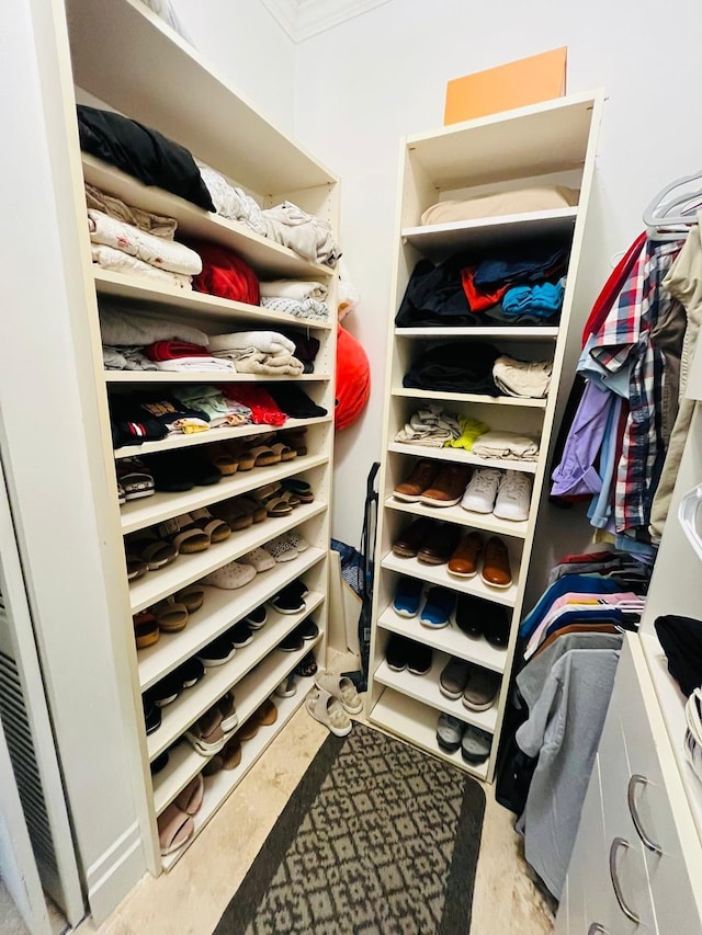 view of spacious closet