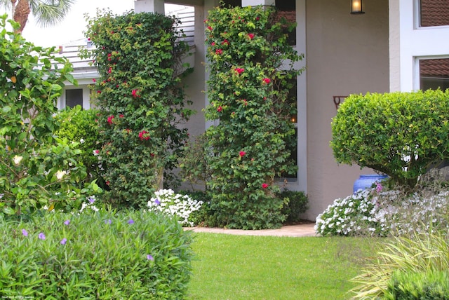 2990 Twin Oaks Way, Wellington, FL 33414 - view of yard