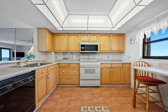 kitchen featuring a sink, a raised ceiling, dishwasher, stainless steel microwave, and electric range