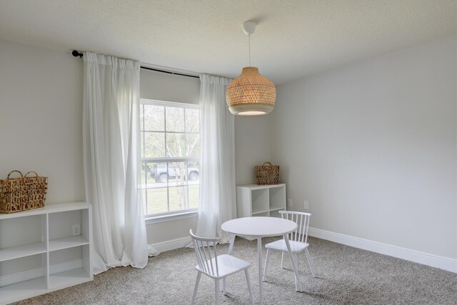 134 Day Dr, Sebastian, FL 32958 - dining space with baseboards, carpet flooring, a textured ceiling, and a healthy amount of sunlight