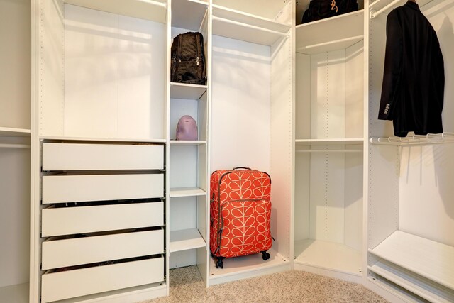 134 Day Dr, Sebastian, FL 32958 - view of spacious closet