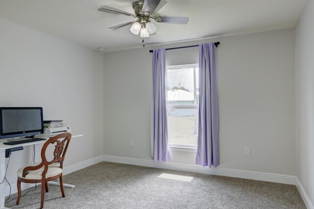 134 Day Dr, Sebastian, FL 32958 - unfurnished office with baseboards, carpet floors, ceiling fan, and plenty of natural light