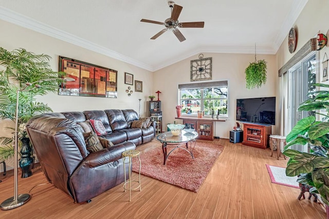 8328 Grand Messina Cir, Boynton Beach, FL 33472 - living room featuring ornamental molding, lofted ceiling, ceiling fan, and light wood-type flooring
