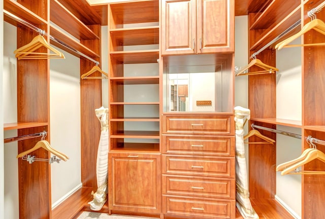 8318 Cameron Cave Dr, Boynton Beach, FL 33473 - walk in closet with wood finished floors