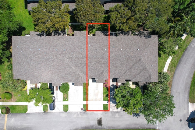 bird's eye view