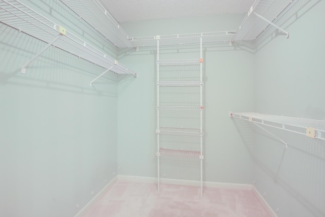 walk in closet with carpet