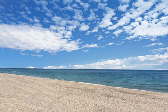 801 S Olive Ave Unit 127, West Palm Beach, FL 33401 - water view with a view of the beach