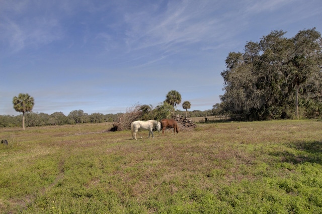 view of yard featuring a rural view