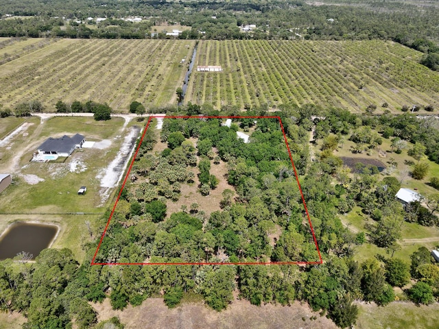 12355 85th St, Fellsmere, FL 32948