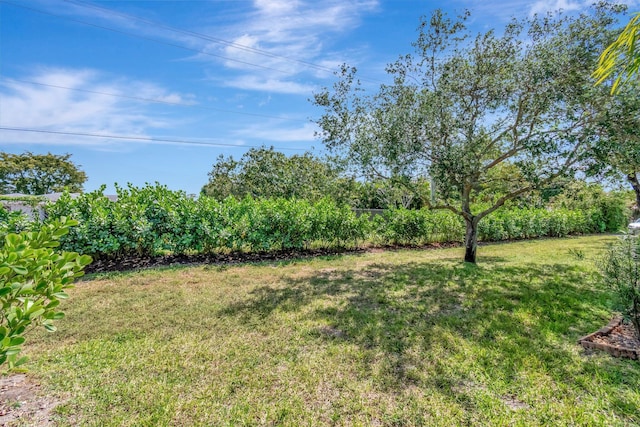 1245 High Point Pl S Unit C, Delray Beach, FL 33445 - view of yard
