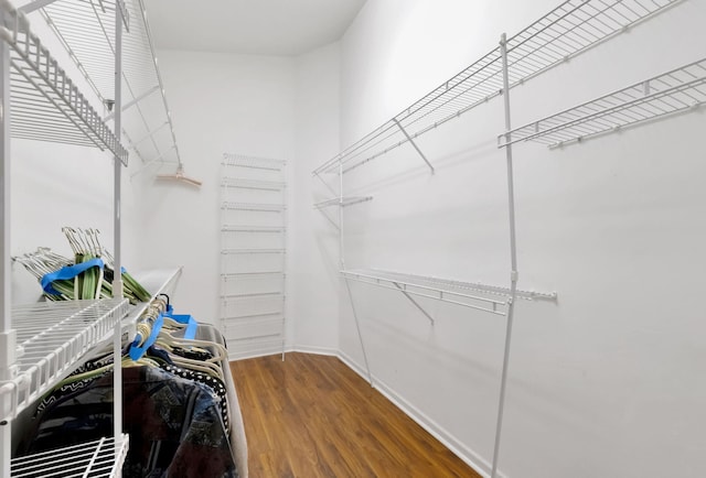 walk in closet featuring wood finished floors