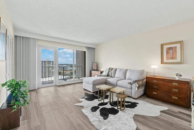 4001 N Ocean Blvd Unit 1602, Boca Raton, FL 33431 - living room featuring light wood finished floors and a textured ceiling