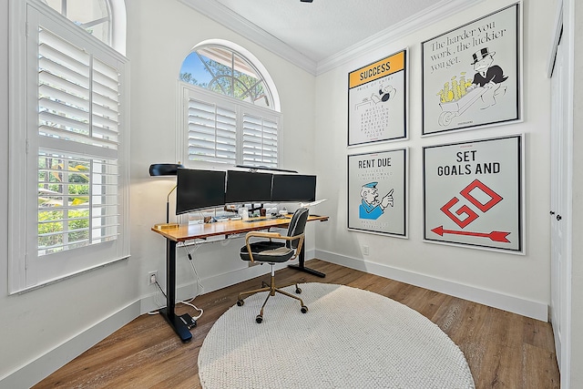 office area featuring ornamental molding, plenty of natural light, wood finished floors, and baseboards