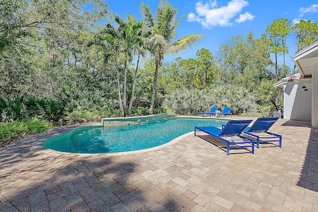 swimming pool featuring a patio