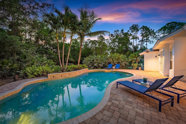 15415 Alexander Run, Jupiter, FL 33478 - swimming pool with a patio